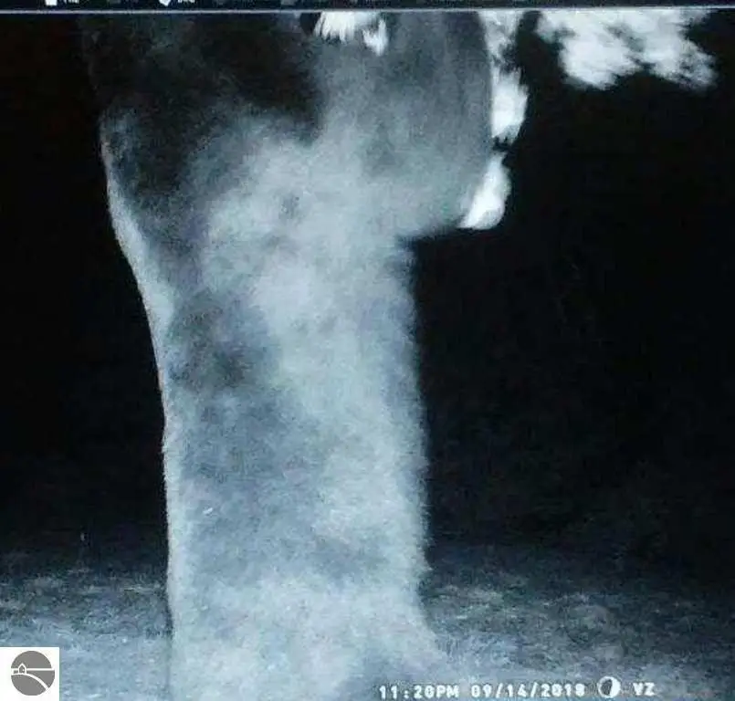 Picture 11