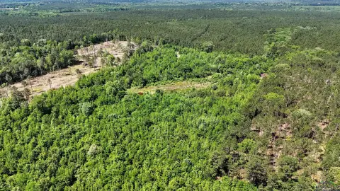 Secluded Wooded Acreage with Pond