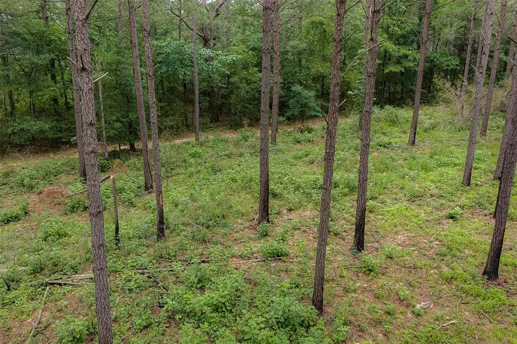 Picture 14