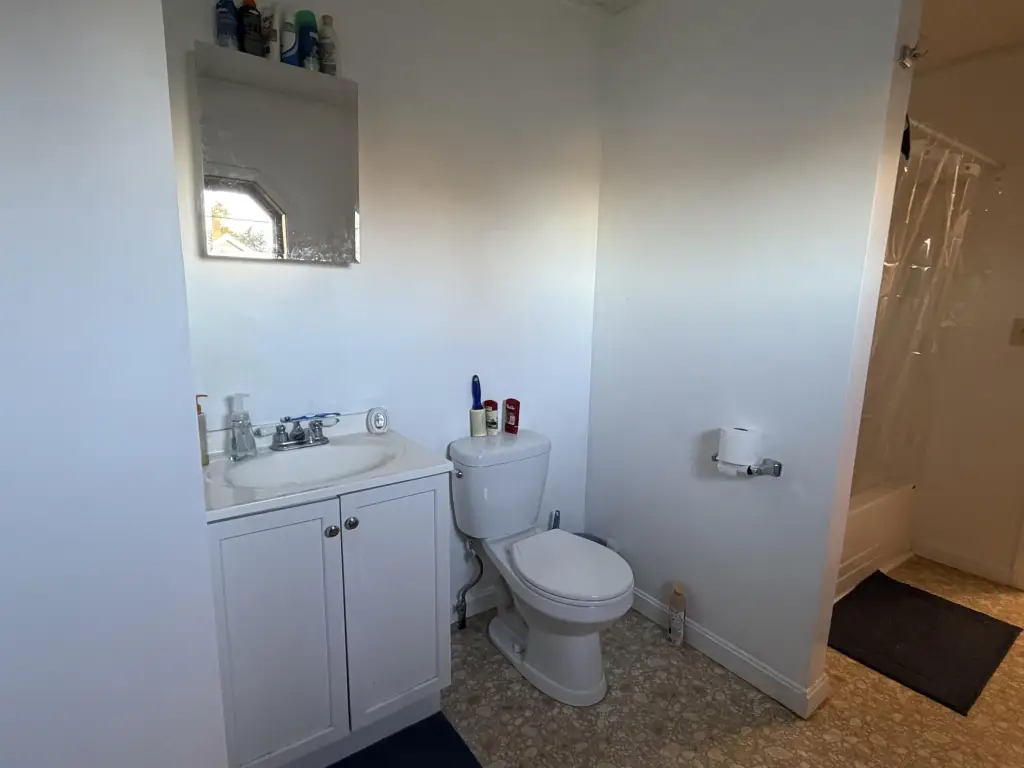 Picture 43