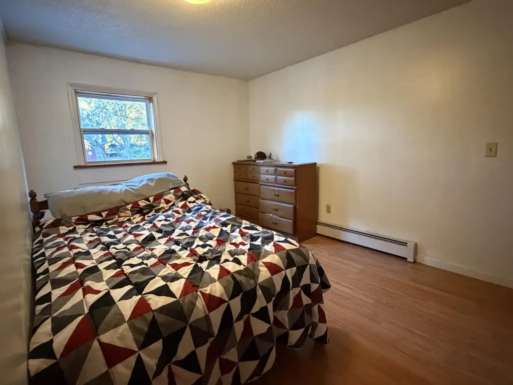 Picture 42