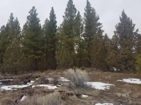 Davis Creek Vacant Land