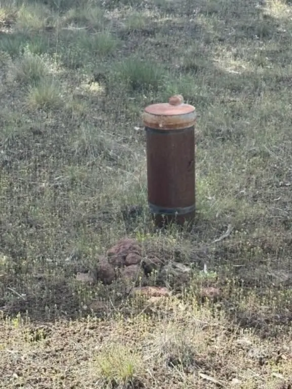 Picture 4