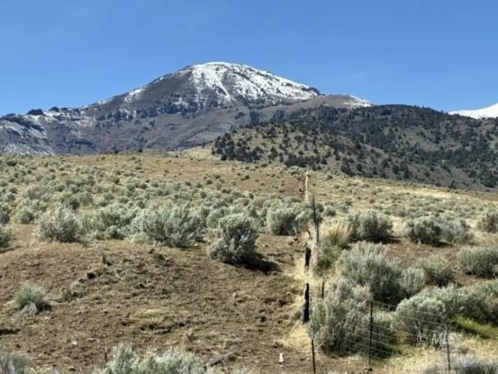 Picture 22