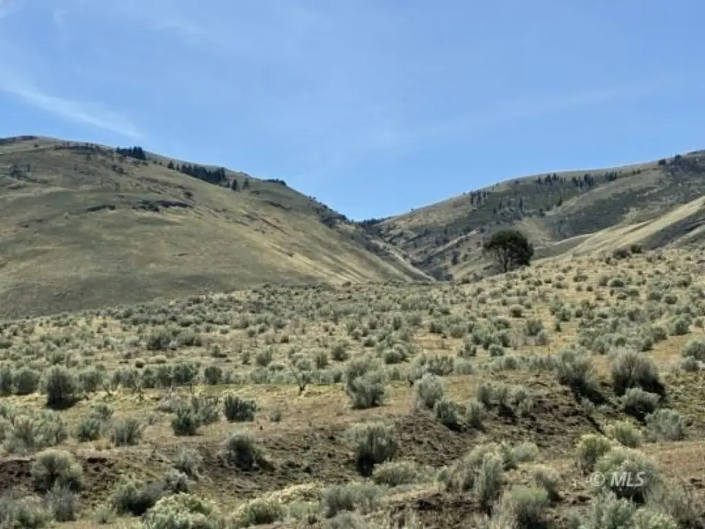 Picture 24