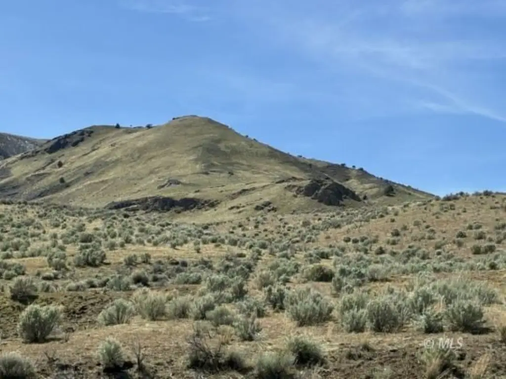Picture 23