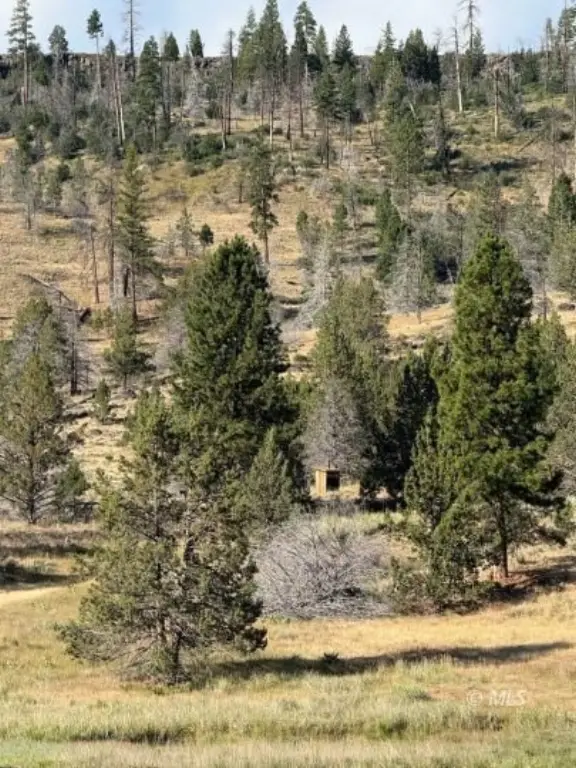 Picture 24