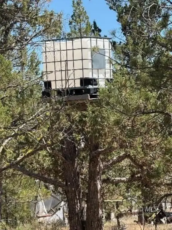 Picture 4
