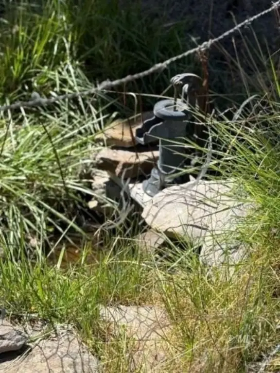 Picture 8