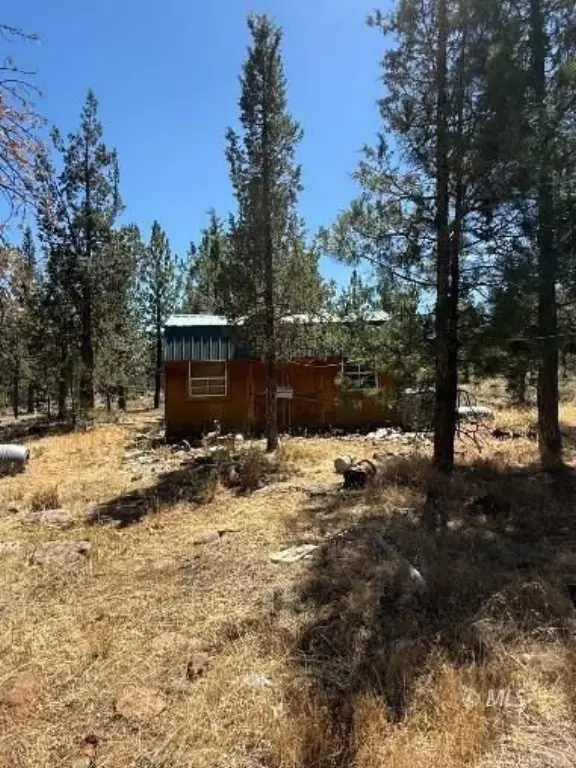 Picture 3