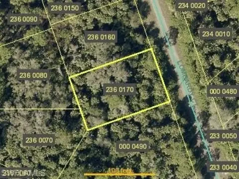 Residential Land in Lehigh Acres