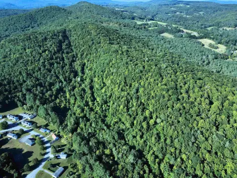 49+ Acres Development Opportunity