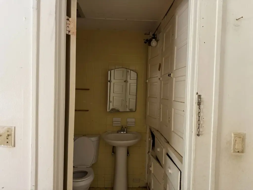 Picture 7
