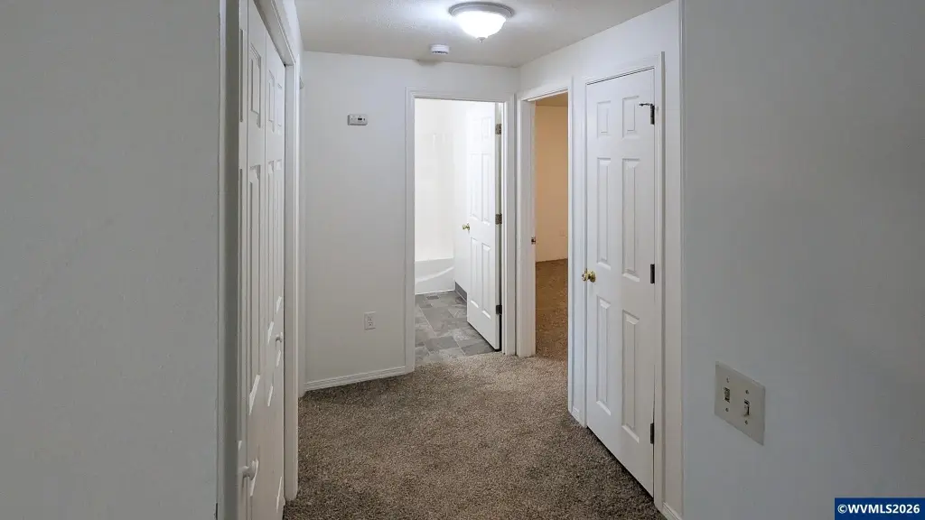 Picture 23