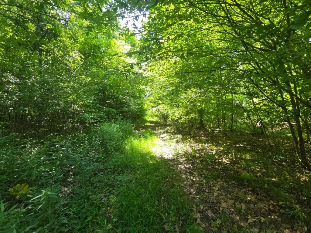 Picture 9