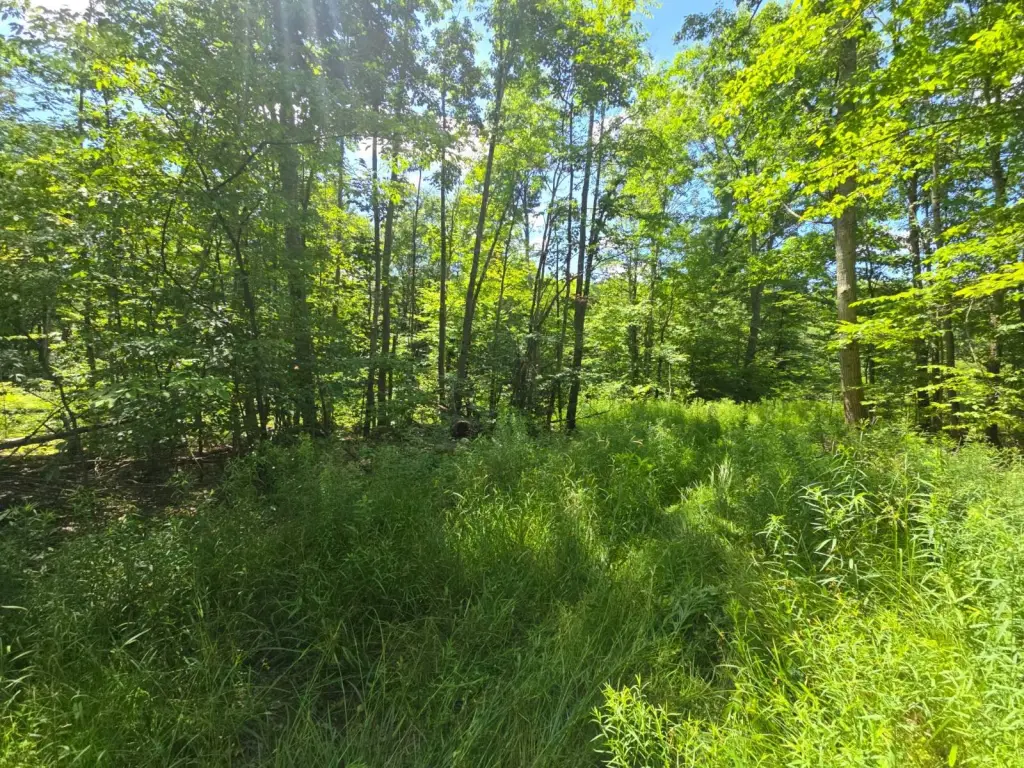 Picture 22