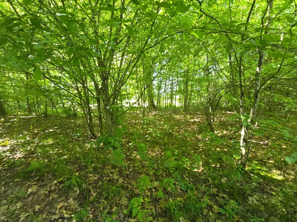 Picture 10