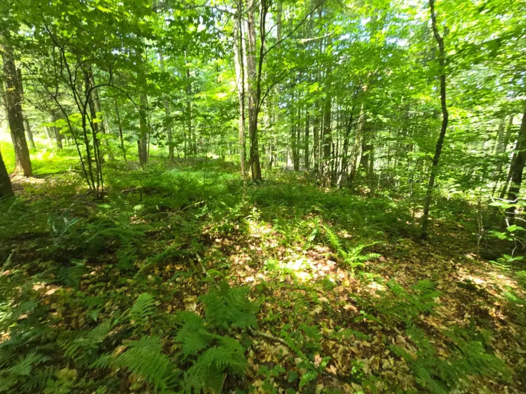 Picture 33