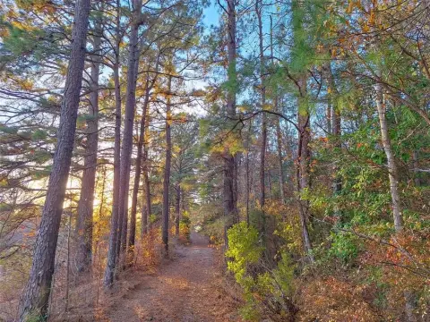 Heavily Wooded East Texas Retreat