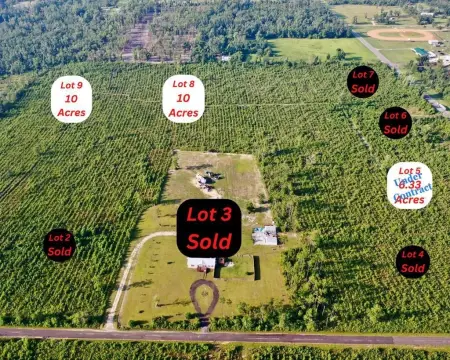 10 Acre Homesite in Wewahitchka