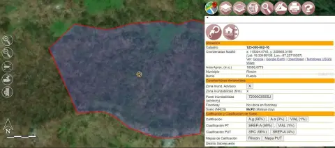 Expansive Land Parcel in Rincon