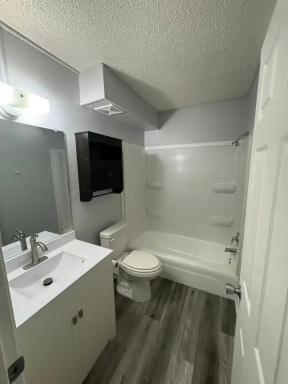 Picture 19