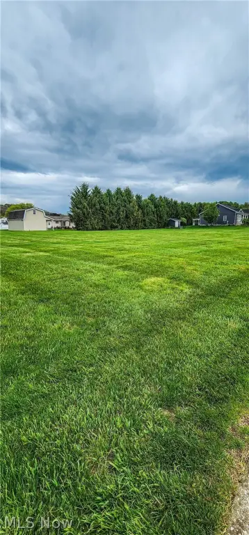 Picture 3