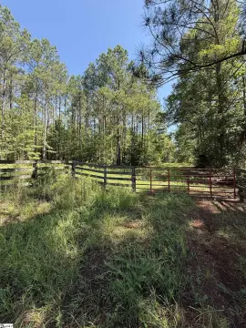 Recreational Hunting Tract with Pastures