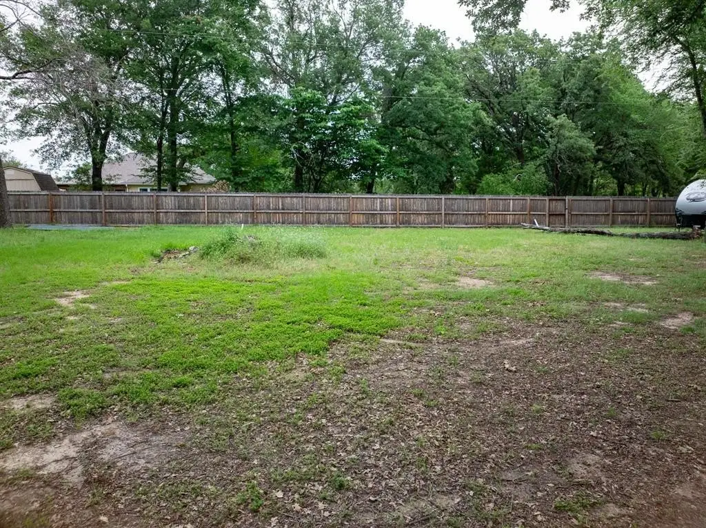 Picture 27