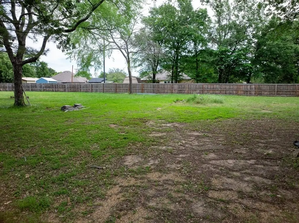 Picture 25