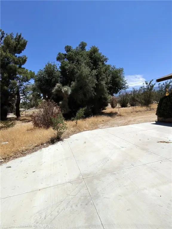 Picture 3