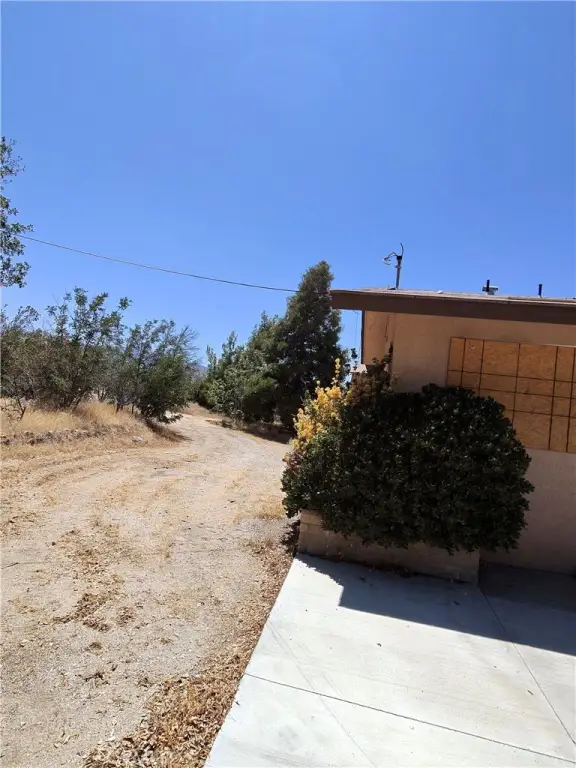 Picture 2