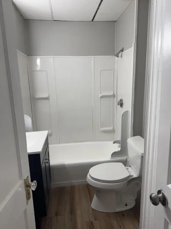 Picture 15