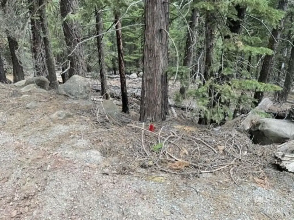 Picture 8