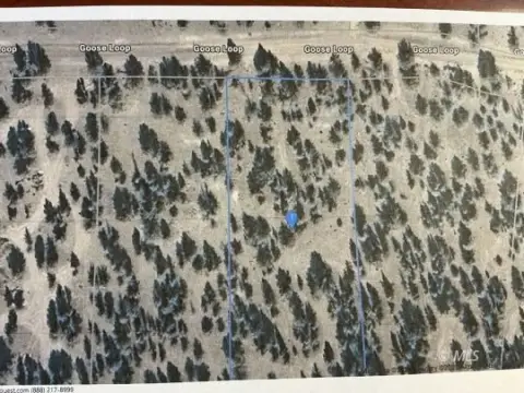 Land with Mountain Views