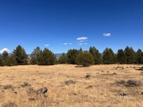 Waterfront Land with Lakebed Frontage