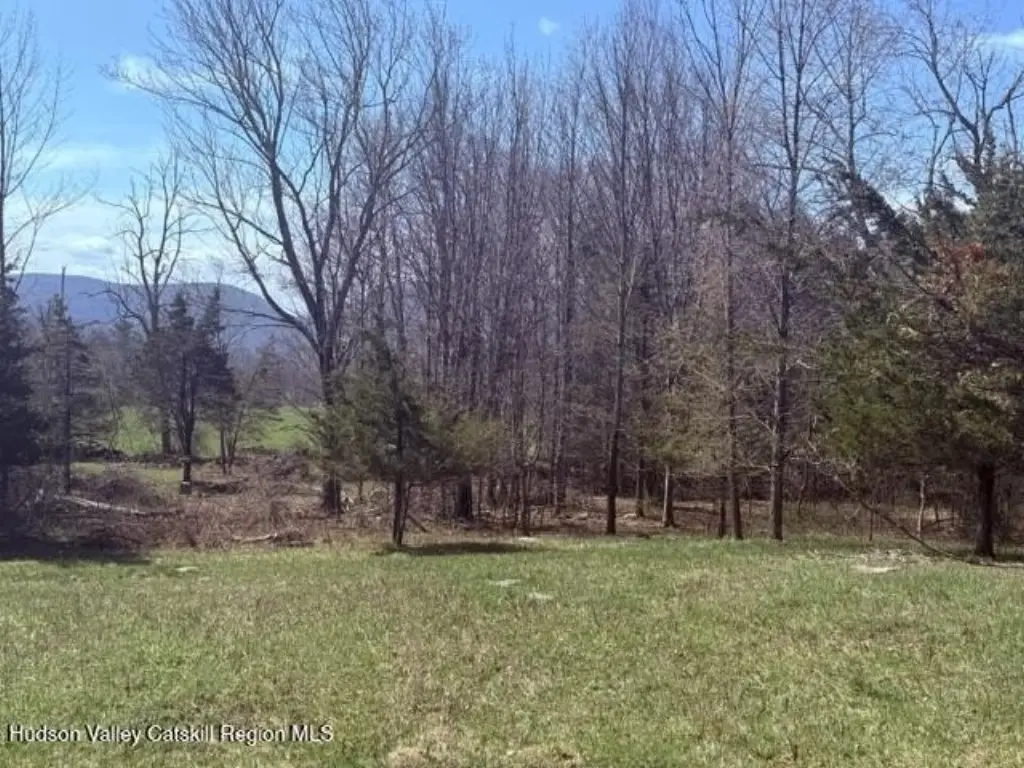 Picture 15