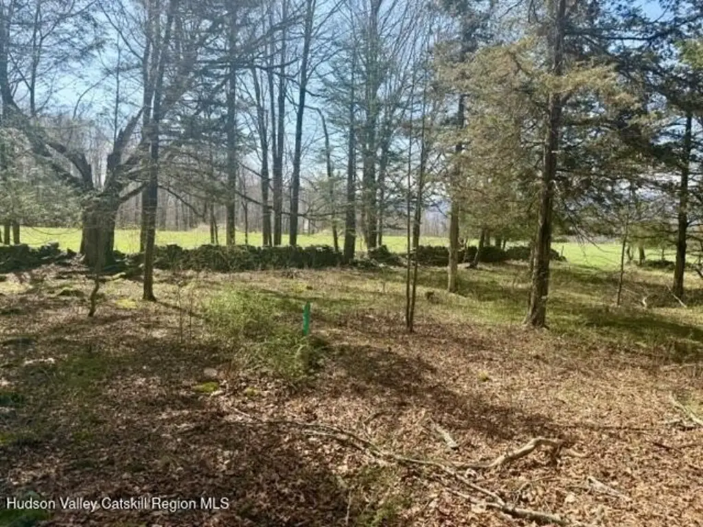 Picture 13