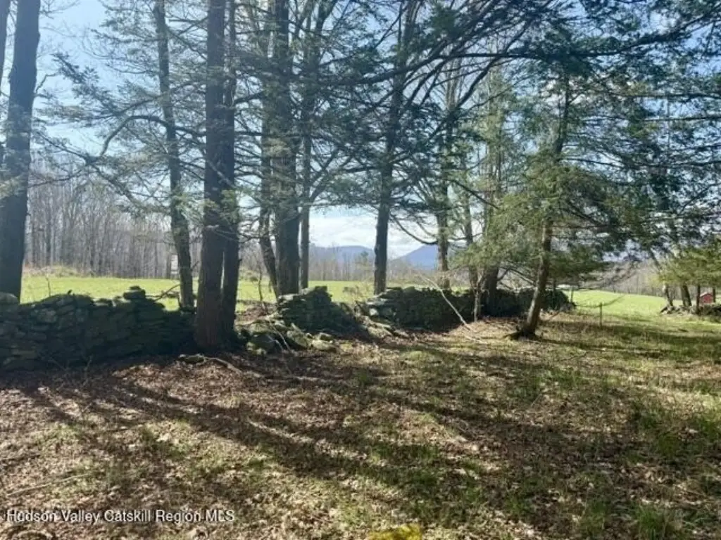 Picture 14