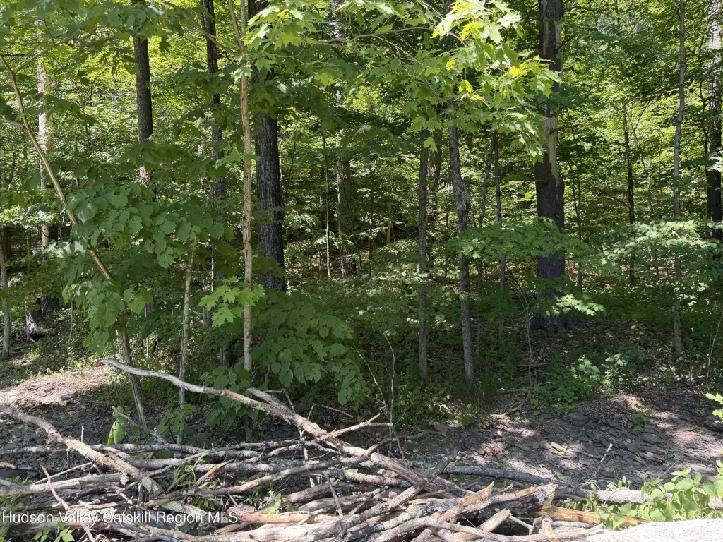 Picture 17