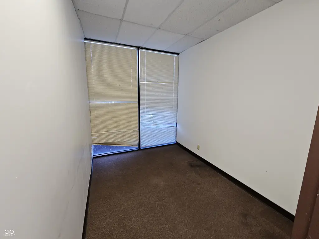 Picture 5