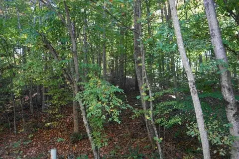 Wooded Building Site in Rocky Mount