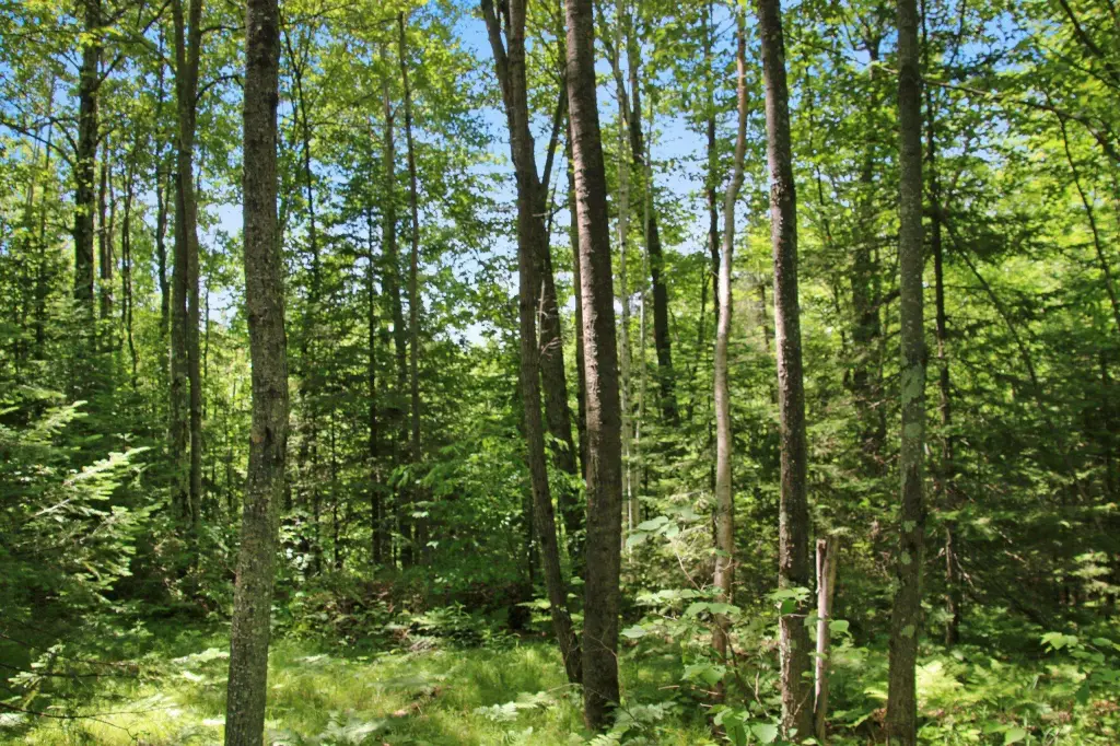 Picture 46