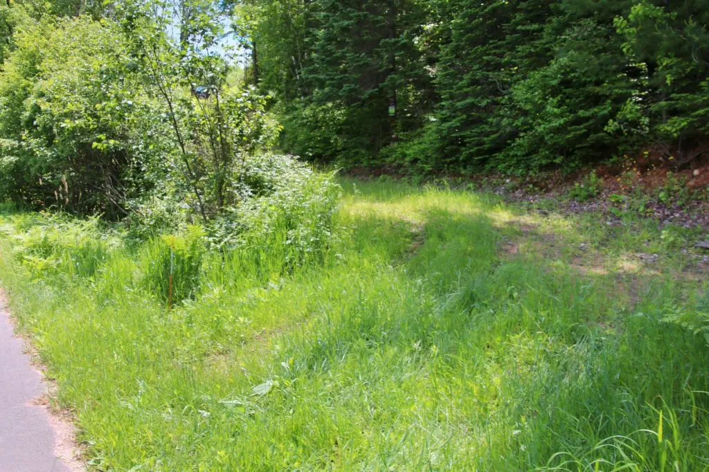 Picture 52