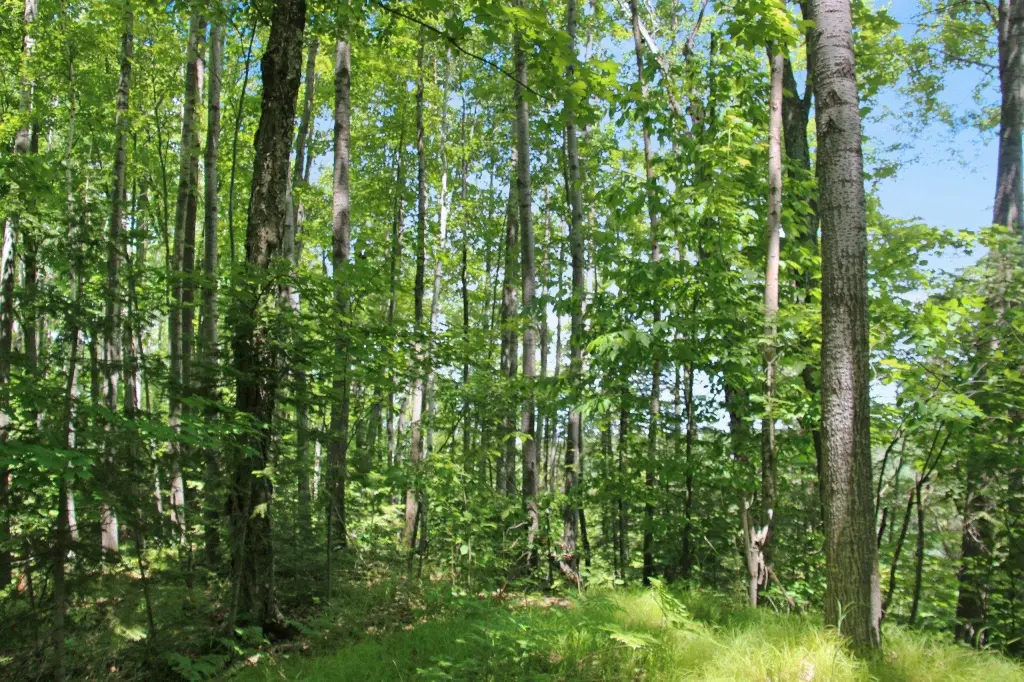 Picture 47