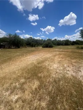 Residential Lot in Mission, TX