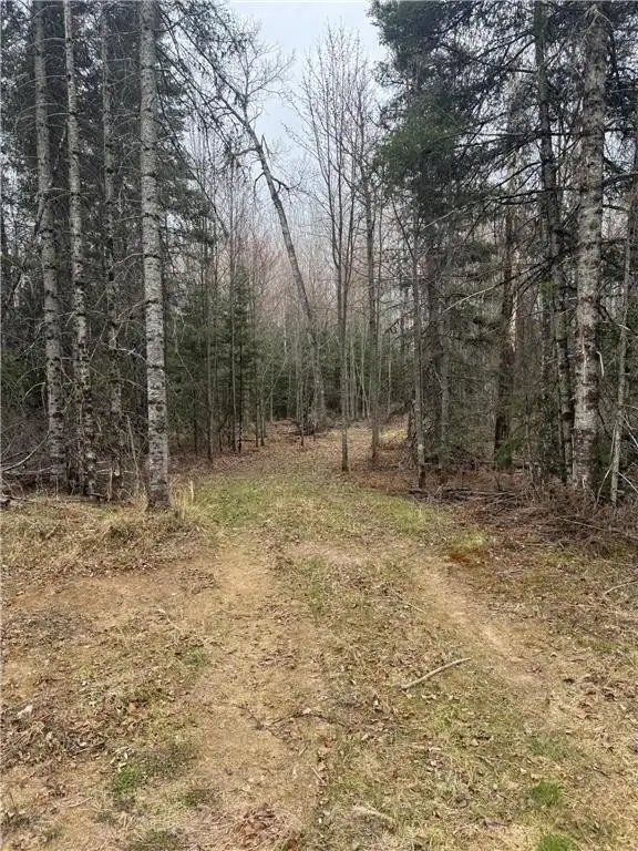 Picture 26