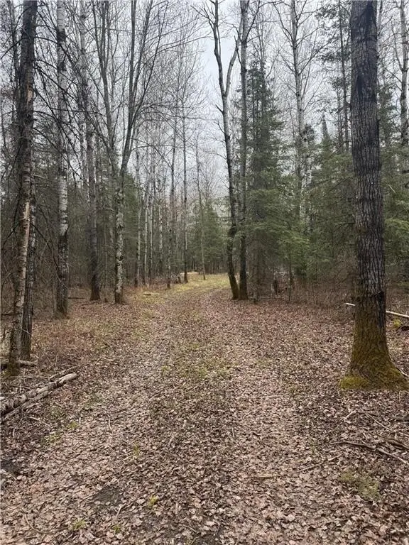 Picture 25