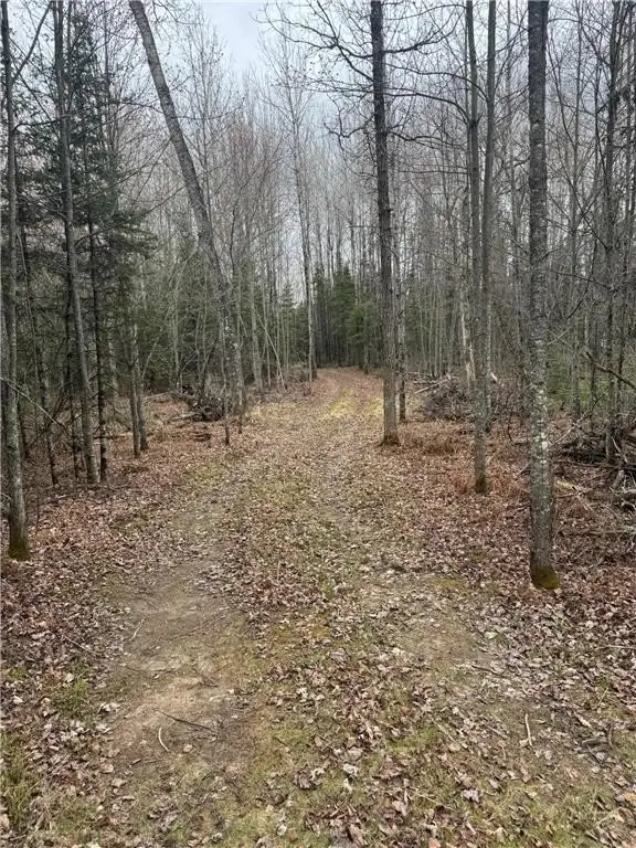 Picture 28