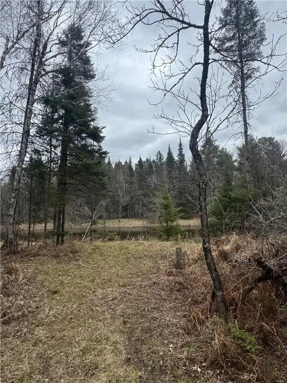 Picture 33